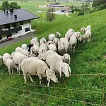 Aberghof