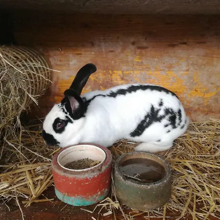 Aberghof Lejlighed *